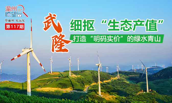 渝州瞭望台丨细抠“生态产值” 武隆打造“明码实价”的绿水青山
