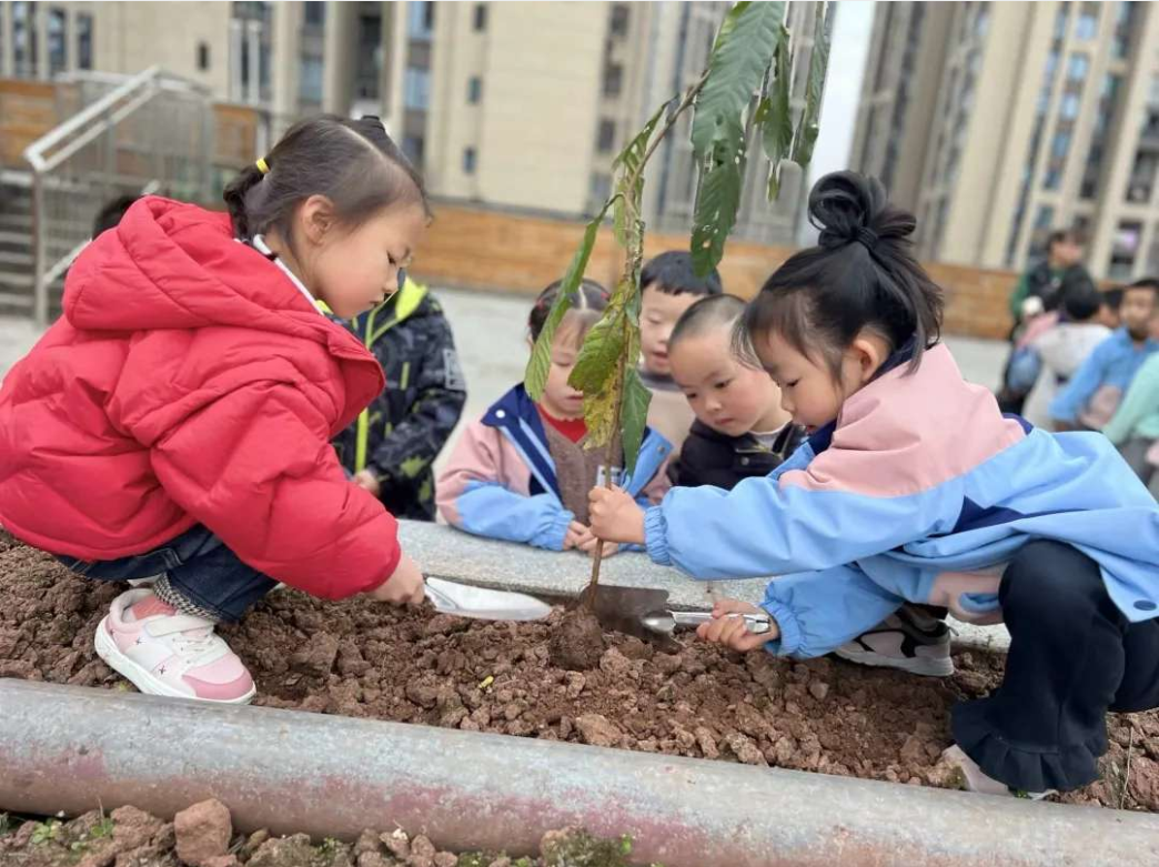 鲁能幼儿园开展植树节活动