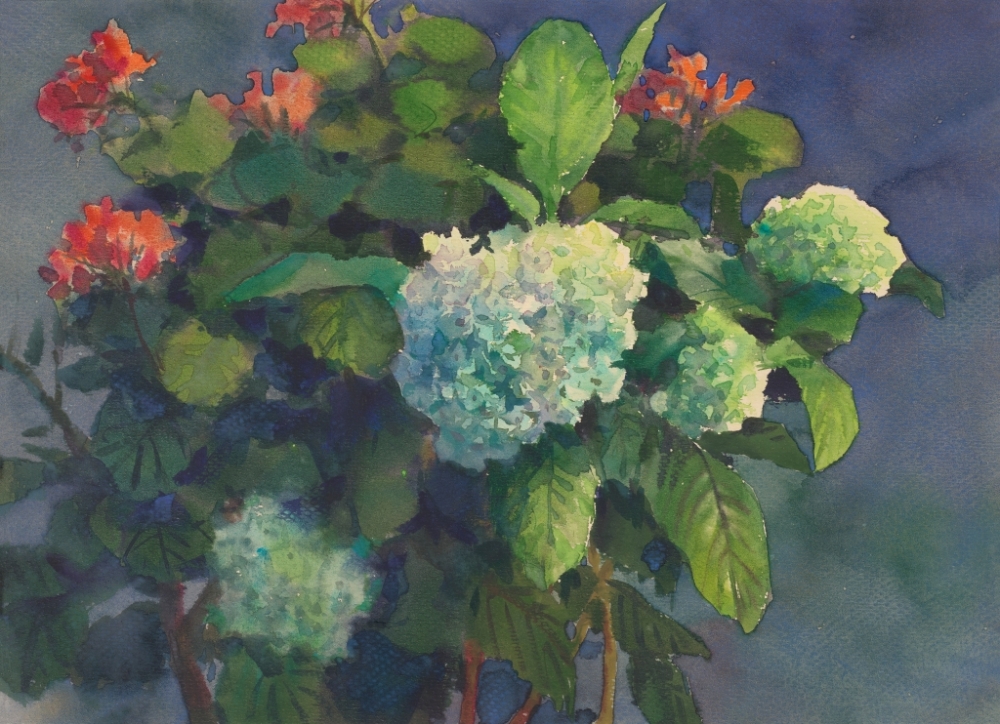 《绣球花》 39x40cm 纸本水彩 邹丹 1981年 916462829654716633