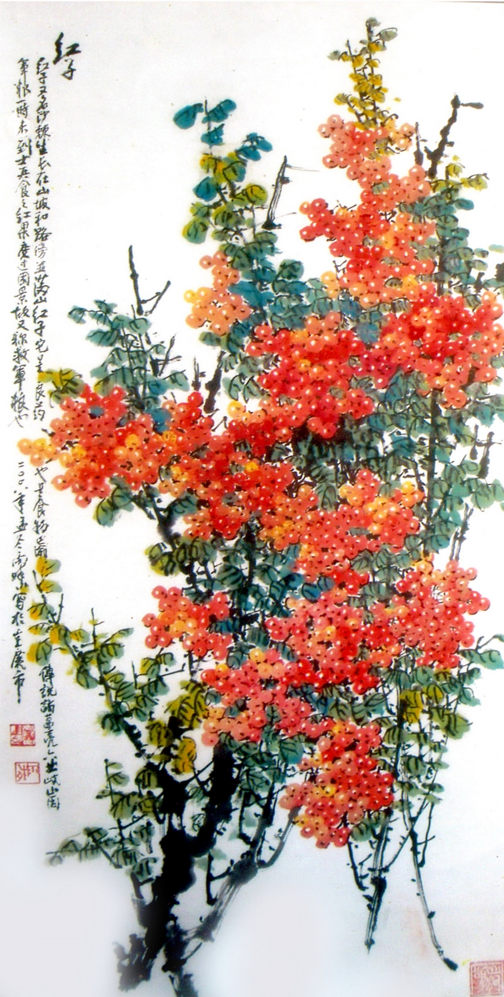 5红子 2008.jpg 916462829654713291