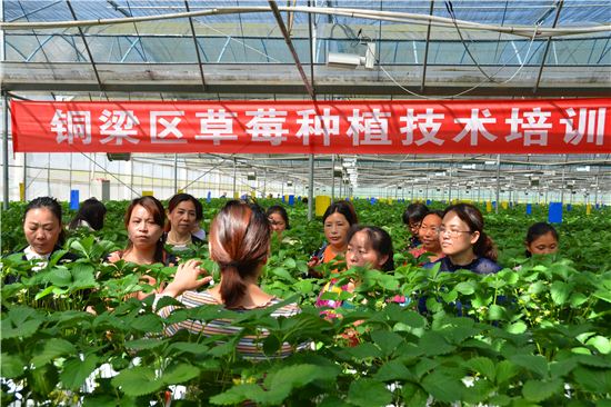 DSC_5339_副本.jpg 916462829654482775
