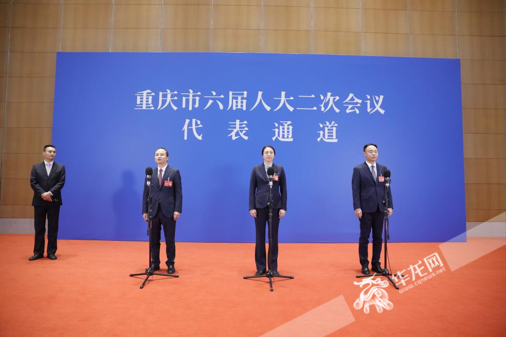 直播回顾丨重庆市第六届人民代表大会第二次会议“代表通道”