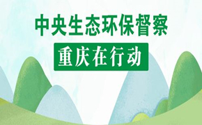 中央生态环保督查重庆在行动